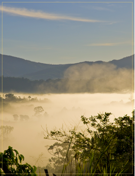 Café du Costa Rica - Huila